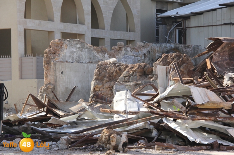 seksik hadem 1220 (5).JPG